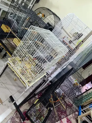 Bird cages — various sizes, good for big and small parrots