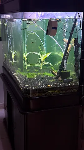 Fish tank / aquarium