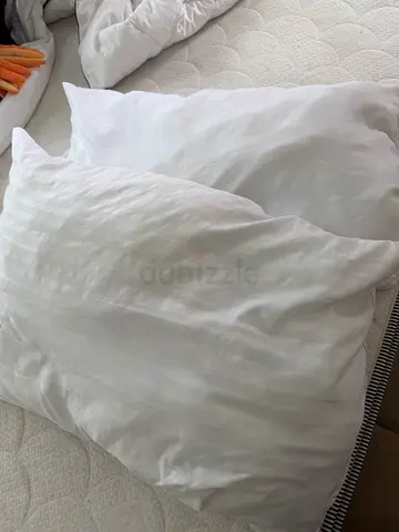 Set of Soft White Pillows