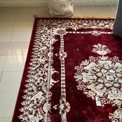 Elegant Red Traditional Area Rug