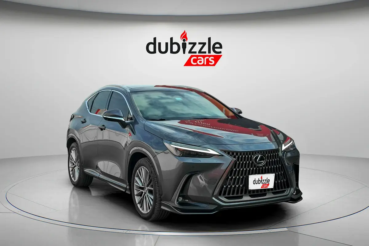 Lexus NX-Series 2024 — photo 1 of 15