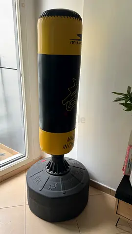 Free-standing punching bag
