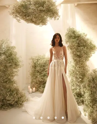 Ivory A-line Wedding Dress with Lace Bodice and Long Train