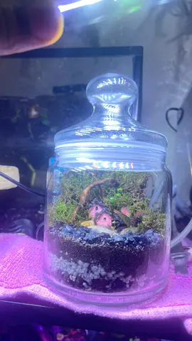 Decorative Glass Terrarium with Moss and Miniature Figures