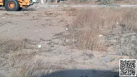 INDUSTRIAL LAND || 43494 SQ FT || FREEHOLD || JURF INDUSTRIAL AREA || AJMAN.