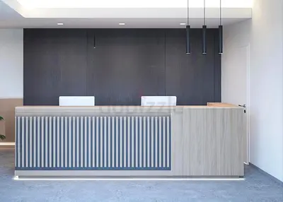 Modern Minimalist Reception Desk
