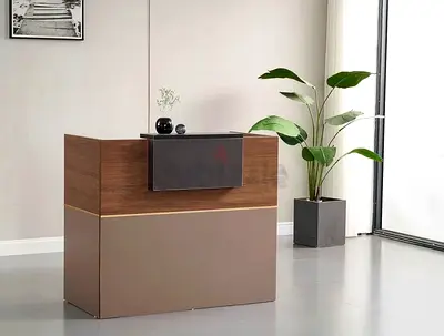 Stylish Modern Reception Desk