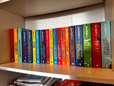 David Walliams childrens fiction book collection - gently used