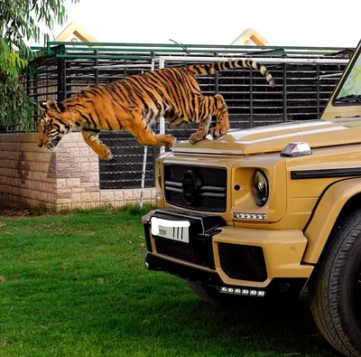 G63 AMG 2014 GCC Modified By Brabus