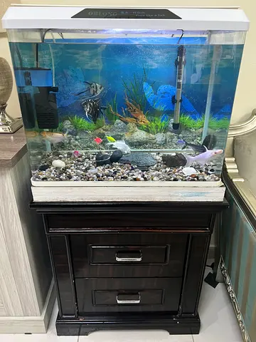 Fish Tank