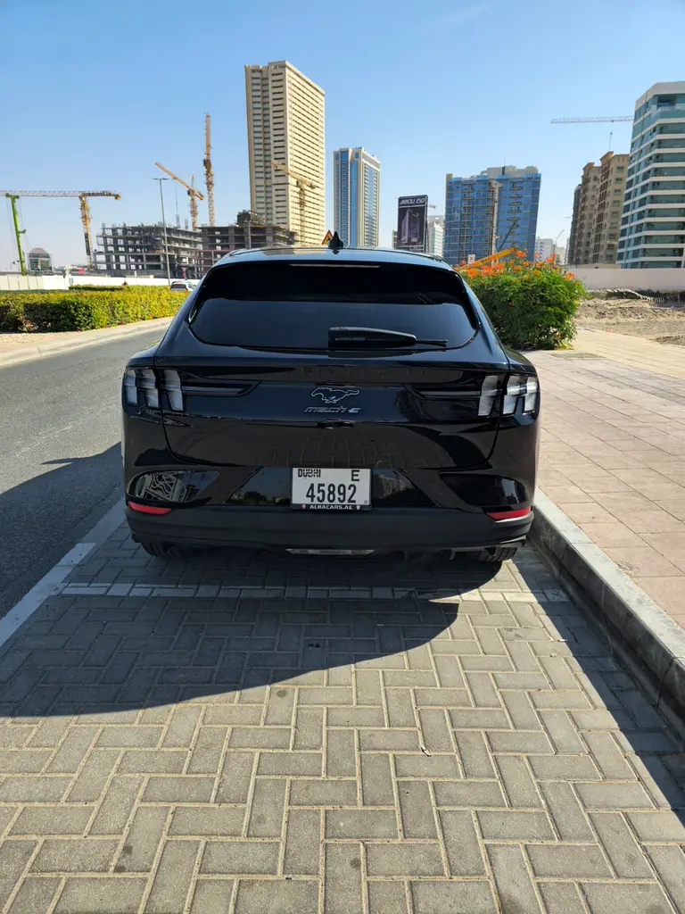 Ford Mustang Mach-E 2022 — photo 1 of 5