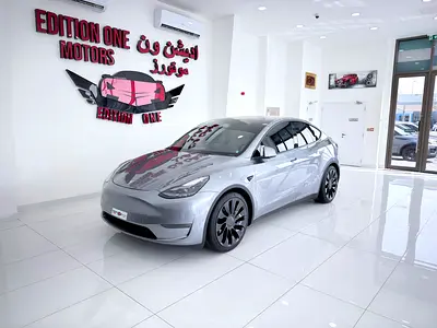 Tesla Model Y Performance 2023 full self Driving