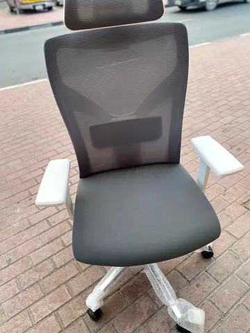 Ergonomic Mesh Office Chair with Headrest — Lightly Used