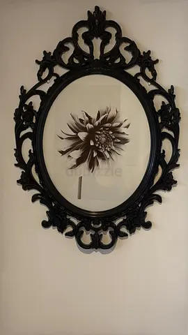 Ornate Black Oval Frame with Floral Print - IKEA