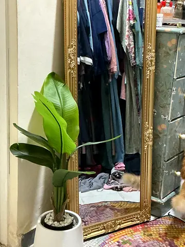 Large full-length ornate gold framed mirror