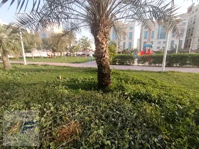 فرصة استثمارية لامتلاك غرفتين وصالة بسعر مناسب و مقدم اقل من السوق مناسب للسكن أو الاستثمارفي قرية الاميرة - الياسمين / عجمان