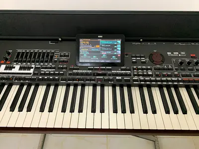 Korg pa4x mg2