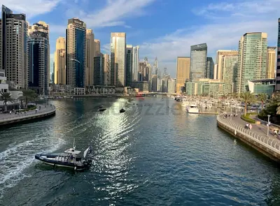 Alzoroony tower marina Dubai