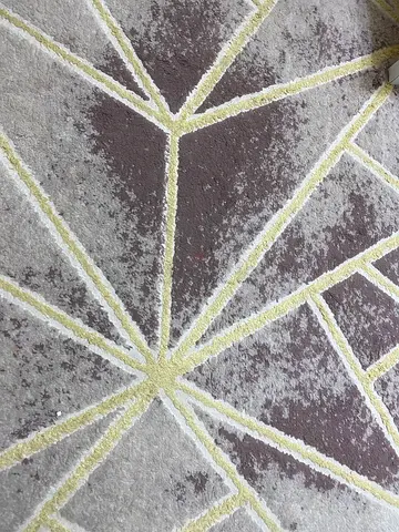 Gently used modern geometric area rug