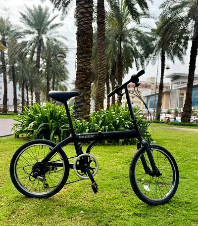 baggio folding bicycle
