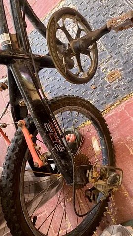 My childs 20-inch bike — used, needs repair can be negotiable price 25-70 phone holder