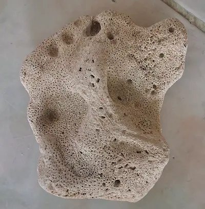 Premium Aquarium Rocks