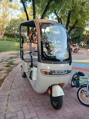 Electric Ride-On Car