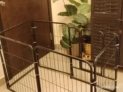 Black Dog Playpen Fence, 8 Panel Fence, 81 cm Height