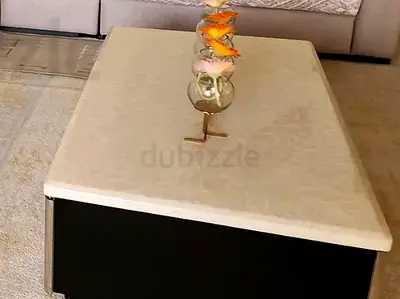 Stylish Rectangular Coffee Table in Excellent Condition