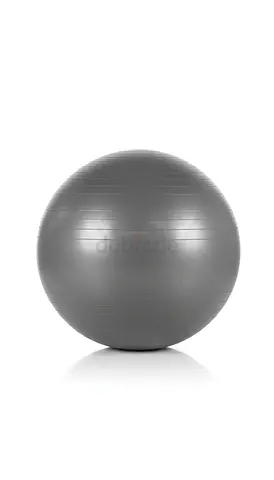 Stability Exercise Ball