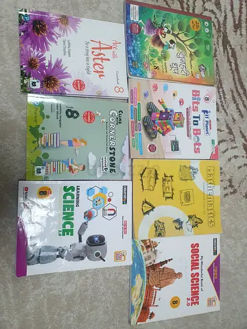 India International School Grade 8 textbooks set — Maths, Science, English, Social Science and more