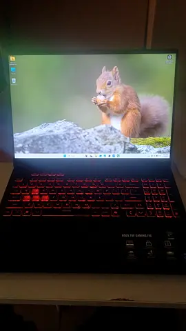 ASUS TUF Gaming Laptop