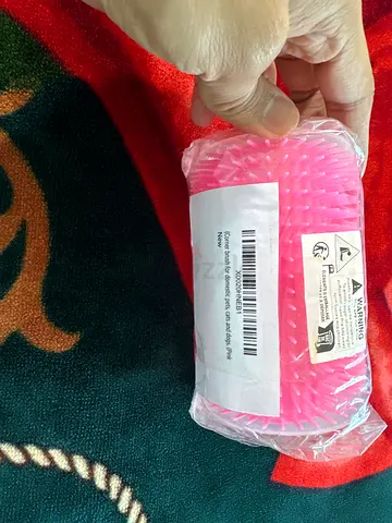 Corner brush for domestic pets