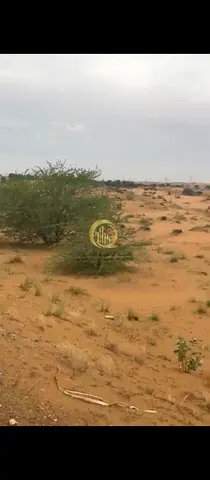للبيع ارض صناعيه في منطقه عرقوب الصناعيه مساحه 10.000 قدم تملك مواطنين ودول مجلس التعاون