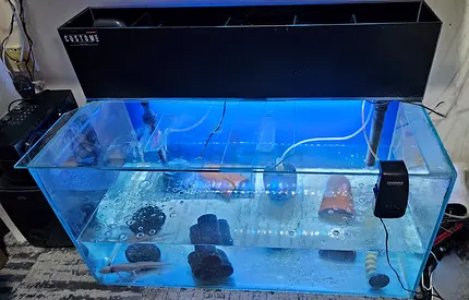 Aquarium