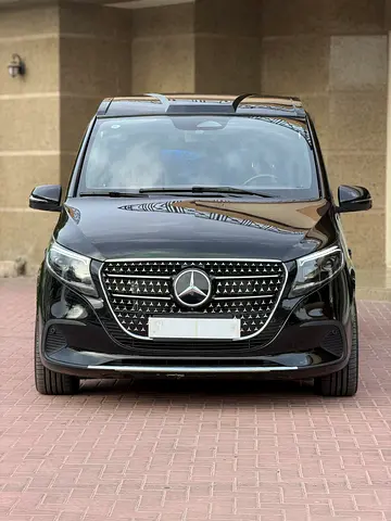 Mercedes-Benz V-Class V 300, миниатюра 2