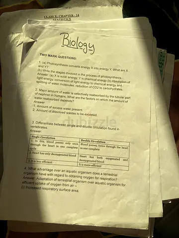 Printed and Handwritten Notes with Important Question Papers for Grade 10 CBSE