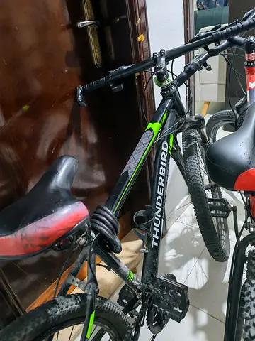 Thunderbird Mountain Bike for Sale