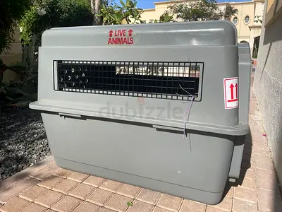 Large hard plastic pet travel crate/kennel - condition very good