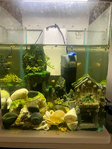 Aquarium
