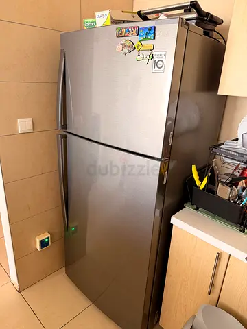 Stylish Stainless Steel Refrigerator