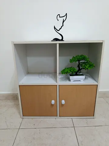 Stylish Wooden Storage Unit