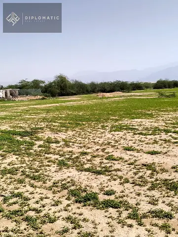 Investment Opportunity – Agricultural Land for Lease - 550KAED per year Only!