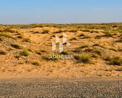 أرض للبيع في بساتين الزبير – الشارقة | خطة سداد مرنة حتى سنتين