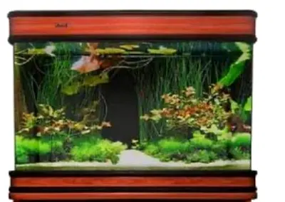 Elegant Fish Tank with Wooden Frame