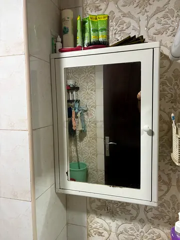 Bathroom Mirror with wardrobe