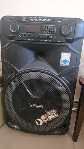 Large powered party speaker with built-in amplifier (used)