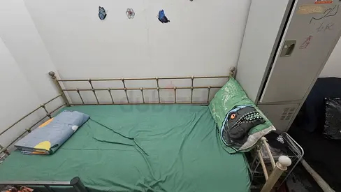 Used single metal bed frame with mattress - sturdy and clean