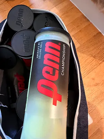 Penn Championship Tennis Balls - 10 Cans