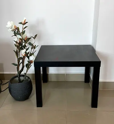 Elegant Black Side Table